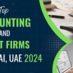 accounting and audit firms