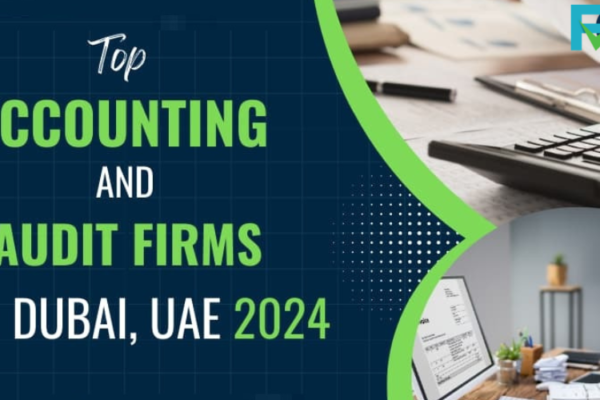 accounting and audit firms