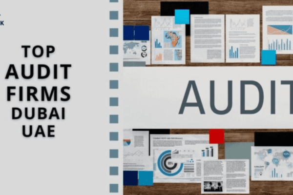 audit firm