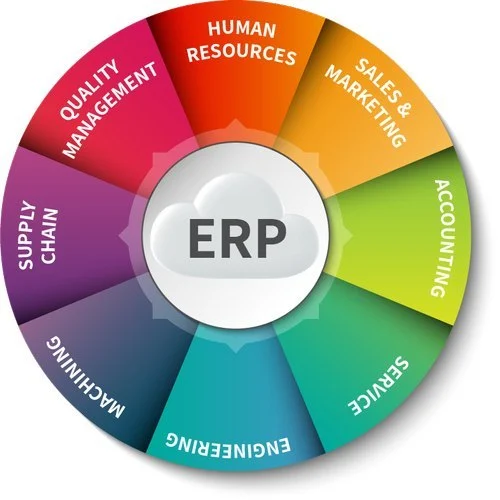 erp advisory services